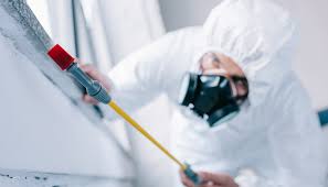 Best Real Estate Pest Inspections  in North Lindenhurst, NY